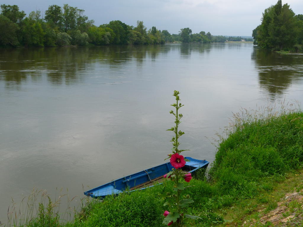 Bed and Breakfast Escale De Loire Chouze-sur-Loire Экстерьер фото